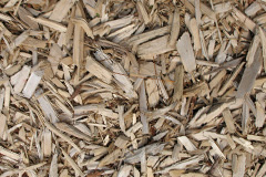 biomass boilers Butts